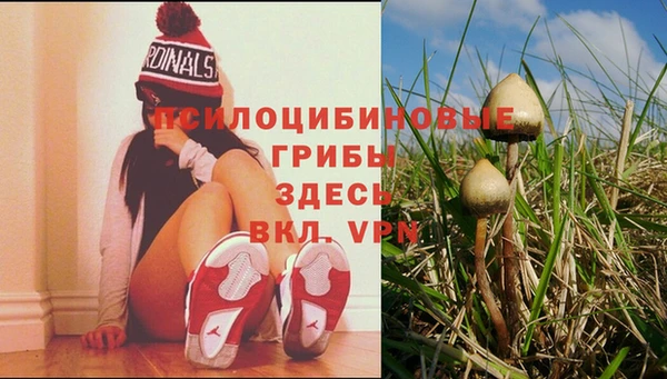 кокаин перу Кулебаки