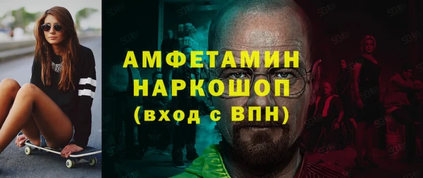 индика Нижний Тагил