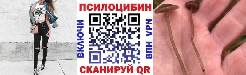 Галлюциногенные грибы прущие грибы Мышкин