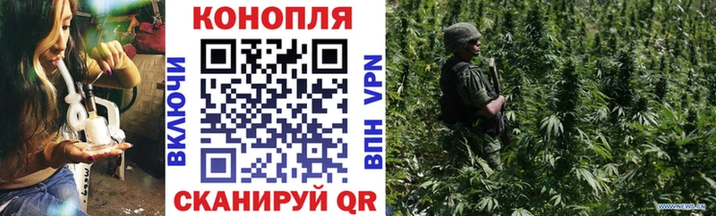 Шишки марихуана план  сколько стоит  Мышкин 
